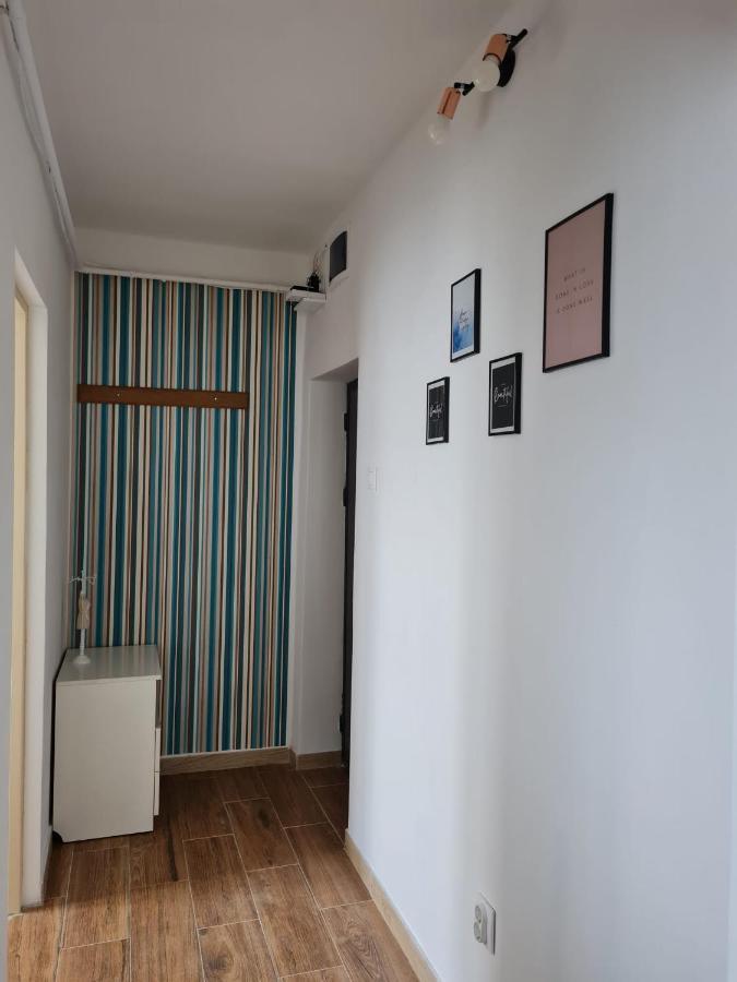 Dddd Apartament Cavnic Exterior foto